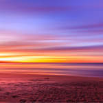 Découverte des coraux d’eau